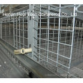 Galvanisation automatique Broiler Chicken Cage (H Type)